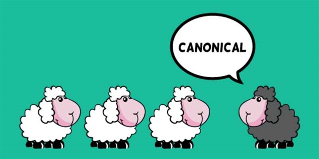 تگ کنونیکال چیست؟ راهنمای کامل استفاده از تگ Canonical برای بهبود سئو سایت